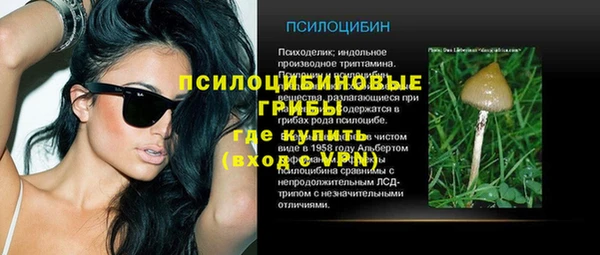 спайс Аркадак
