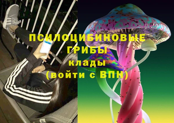 mdpv Арсеньев