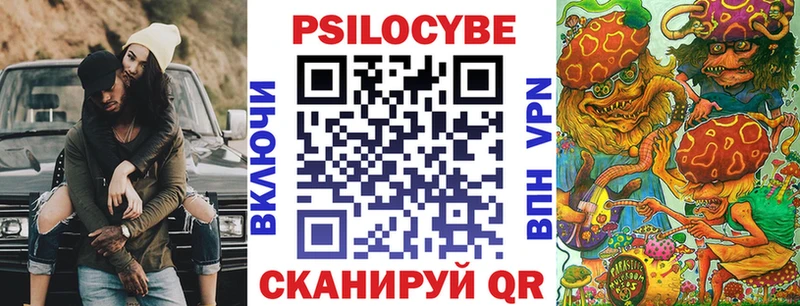 даркнет наркотические препараты ссылка на мегу зеркало Волгоград Галлюциногенные грибы Psilocybe