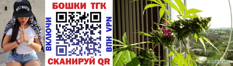Шишки марихуана сатива  Волгоград 